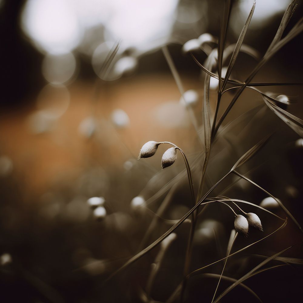 Lowlightnatureno8 Fullsize art print by Treechild for $57.95 CAD