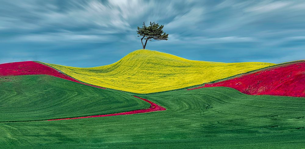Three Color Wheatlandu art print by Jiahong Zeng for $57.95 CAD