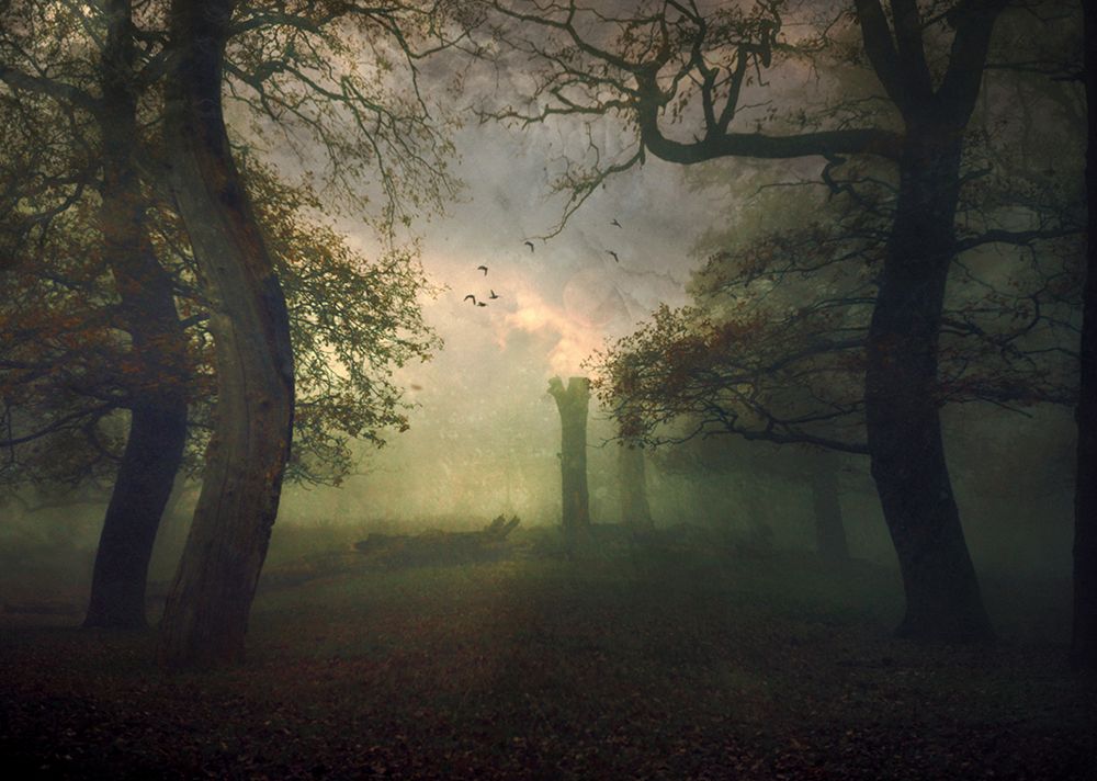 A Strange Day... art print by Robert Fabrowski for $57.95 CAD