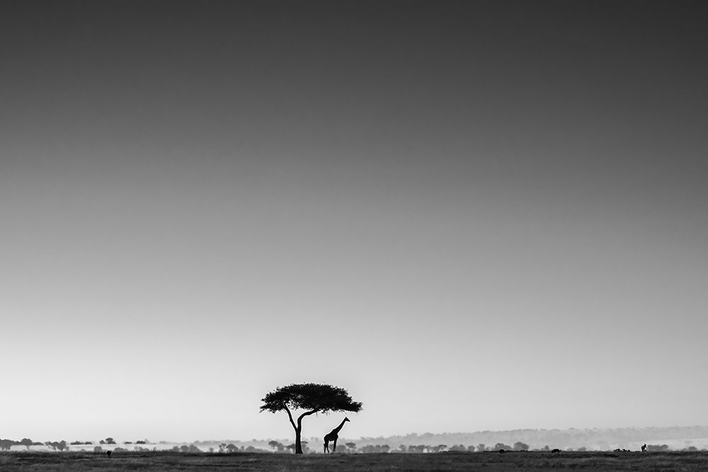 A Lonely Day art print by Saikiran Bhagavatula for $57.95 CAD