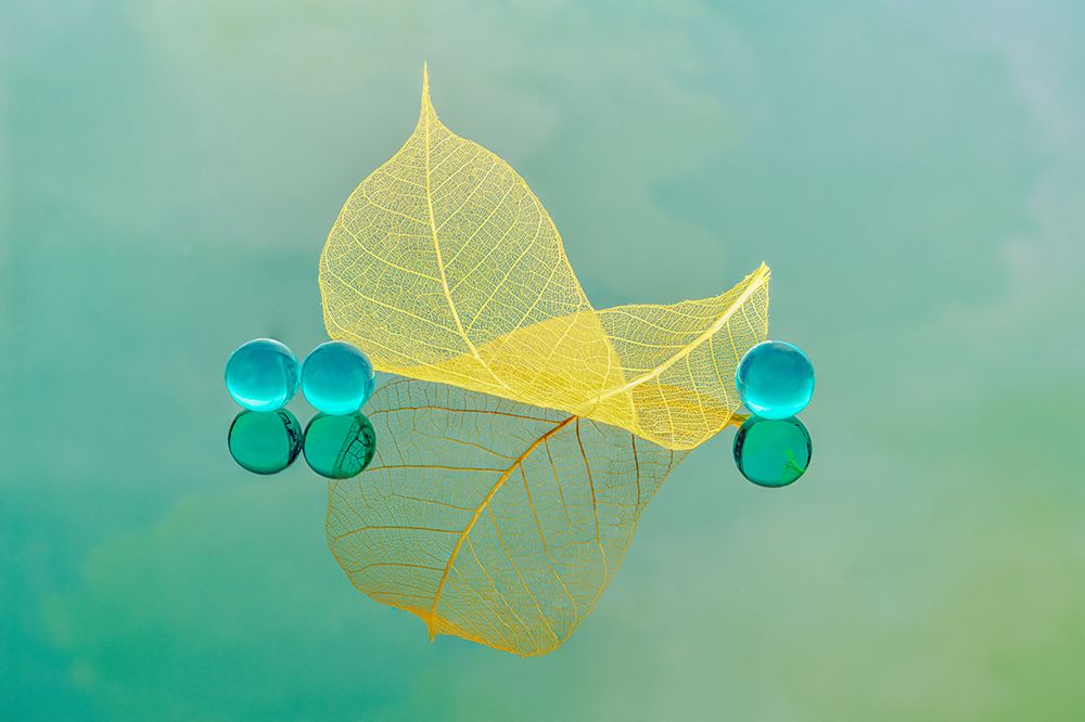 Reflections art print by Catherine Lu for $57.95 CAD