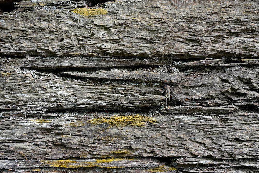 Tex Surface W11 art print by Bilge Paksoylu for $57.95 CAD