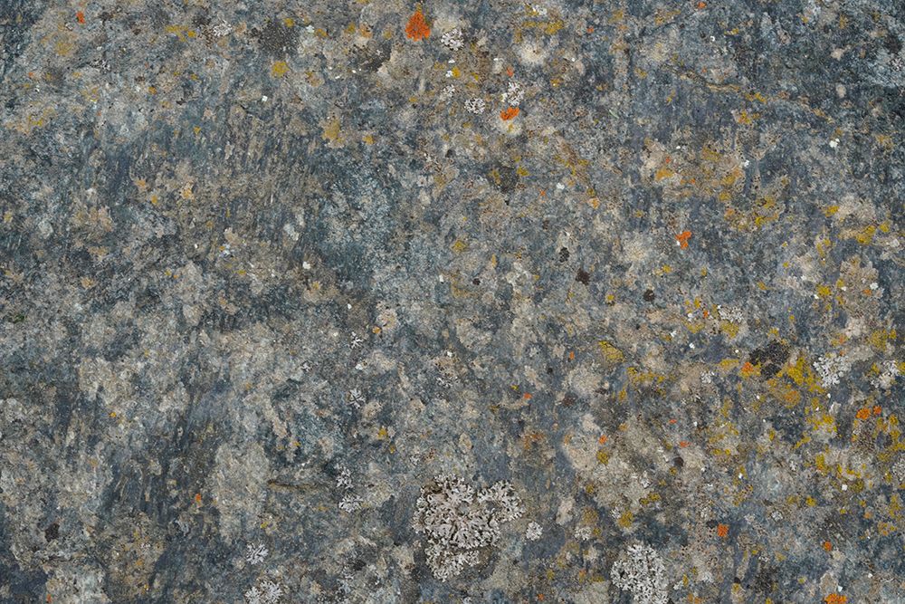 Tex Surface S4 art print by Bilge Paksoylu for $57.95 CAD