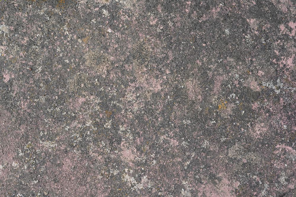 Tex Surface S14 art print by Bilge Paksoylu for $57.95 CAD