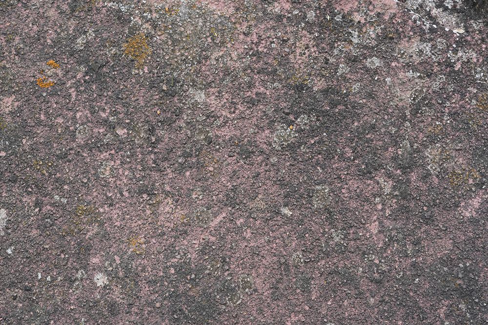 Tex Surface S13 art print by Bilge Paksoylu for $57.95 CAD
