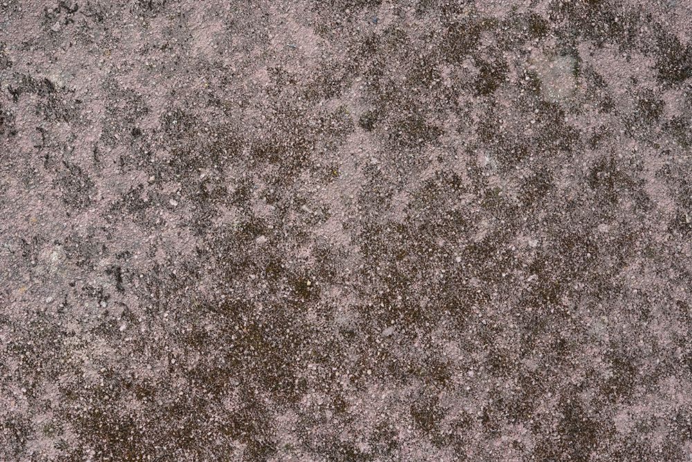 Tex Surface S12 art print by Bilge Paksoylu for $57.95 CAD