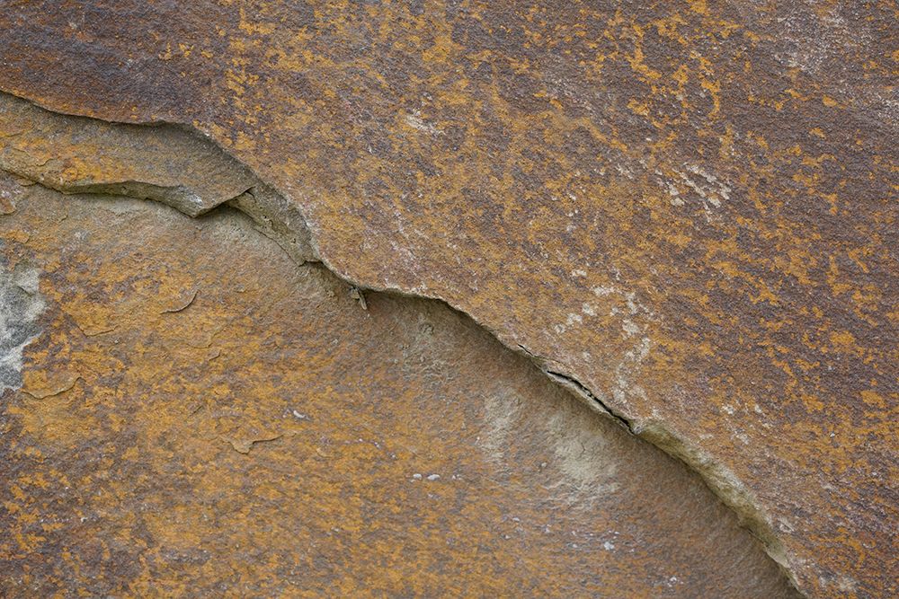 Tex Surface S25 art print by Bilge Paksoylu for $57.95 CAD