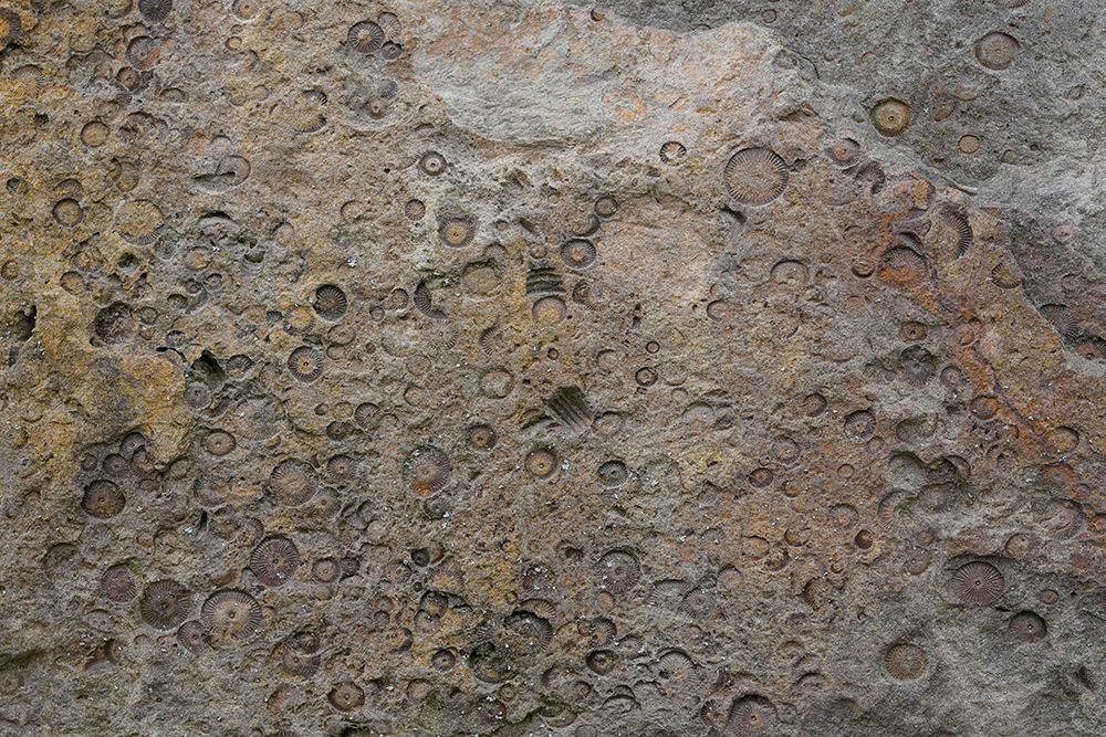 Tex Surface S27 art print by Bilge Paksoylu for $57.95 CAD