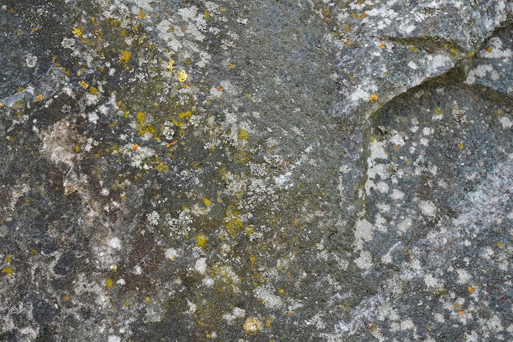 Tex Surface S45 art print by Bilge Paksoylu for $57.95 CAD