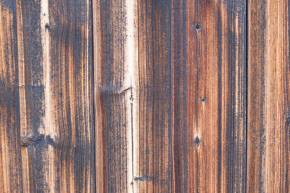 Tex Surface Wood 2 art print by Bilge Paksoylu for $57.95 CAD
