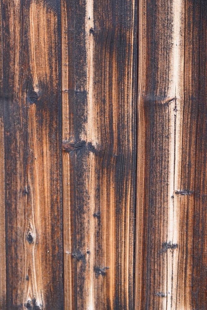 Tex Surface Wood 6 art print by Bilge Paksoylu for $57.95 CAD