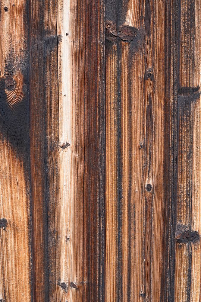 Tex Surface Wood 8 art print by Bilge Paksoylu for $57.95 CAD