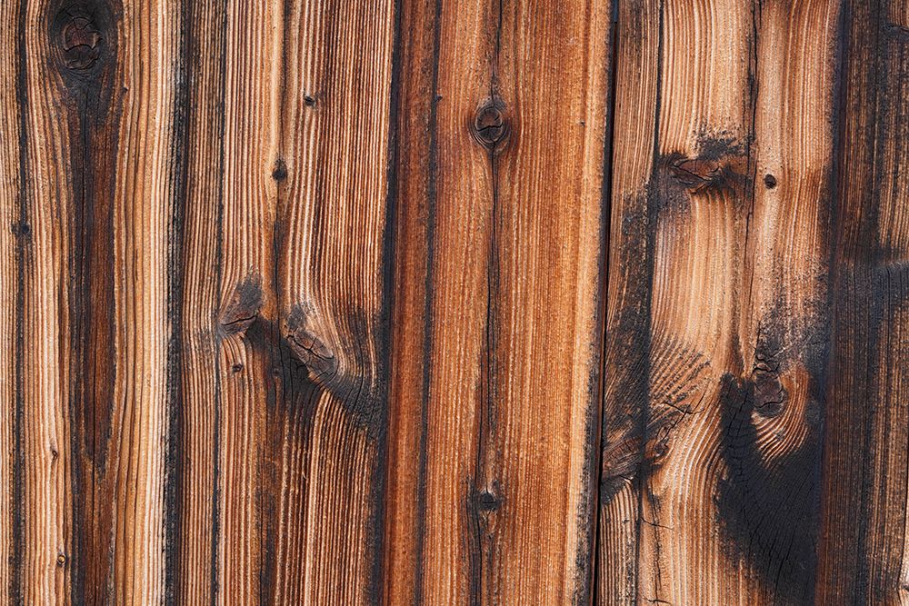 Tex Surface Wood 9 art print by Bilge Paksoylu for $57.95 CAD