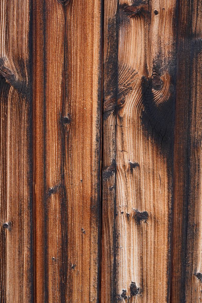 Tex Surface Wood 10 art print by Bilge Paksoylu for $57.95 CAD