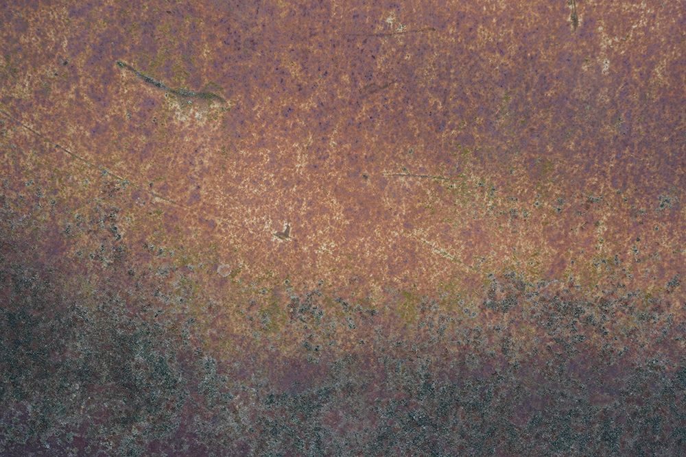 Rust 19 art print by Bilge Paksoylu for $57.95 CAD
