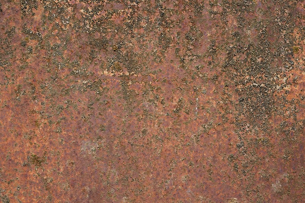 Rust 20 art print by Bilge Paksoylu for $57.95 CAD