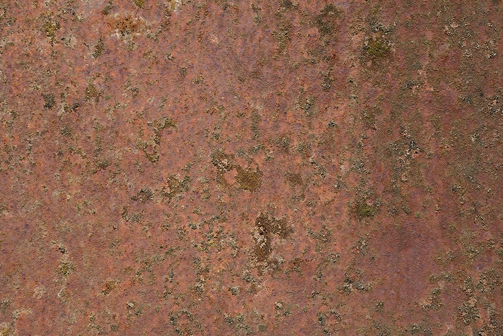 Rust 21 art print by Bilge Paksoylu for $57.95 CAD