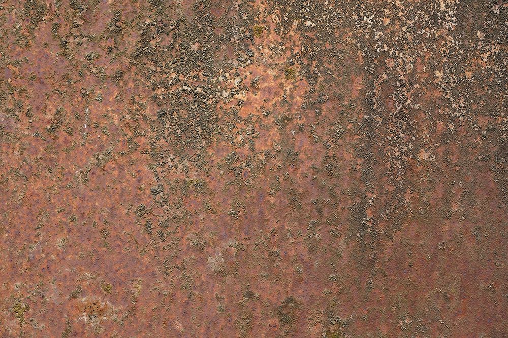 Rust 24 art print by Bilge Paksoylu for $57.95 CAD
