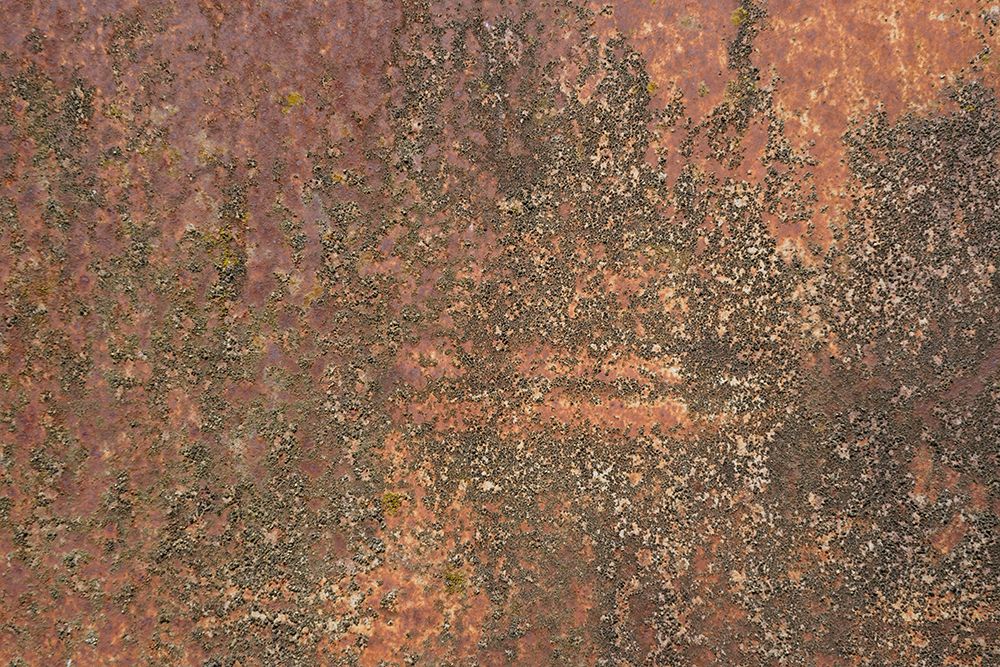 Rust 25 art print by Bilge Paksoylu for $57.95 CAD