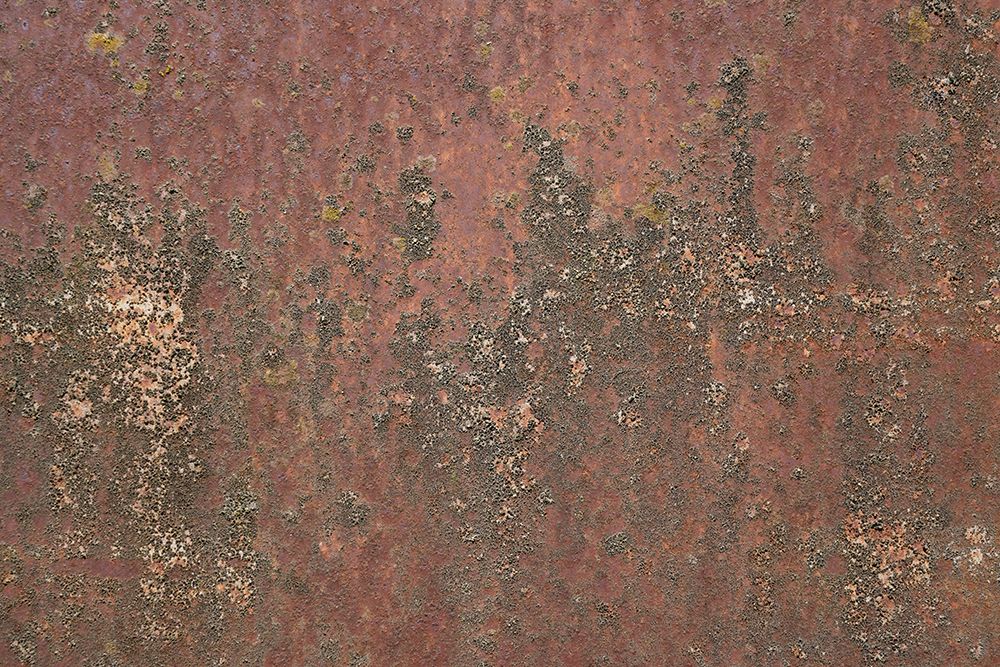 Rust 26 art print by Bilge Paksoylu for $57.95 CAD