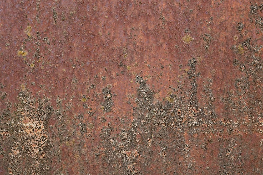 Rust 27 art print by Bilge Paksoylu for $57.95 CAD
