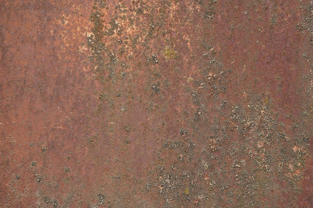 Rust 29 art print by Bilge Paksoylu for $57.95 CAD