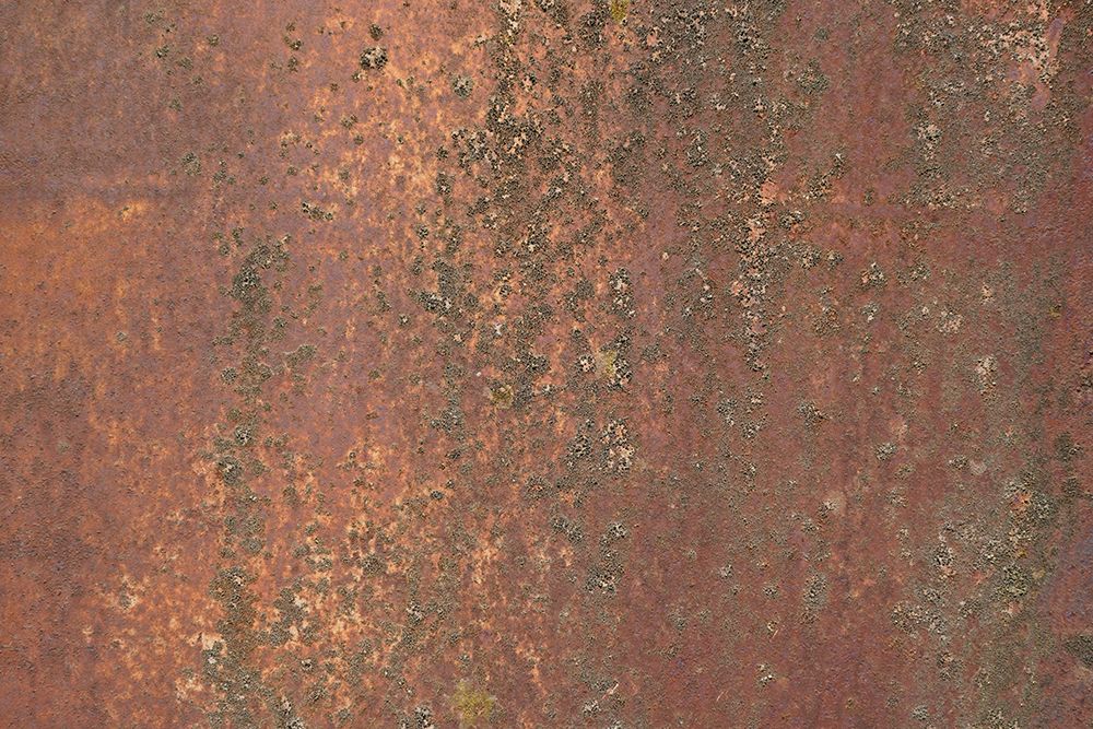 Rust 30 art print by Bilge Paksoylu for $57.95 CAD