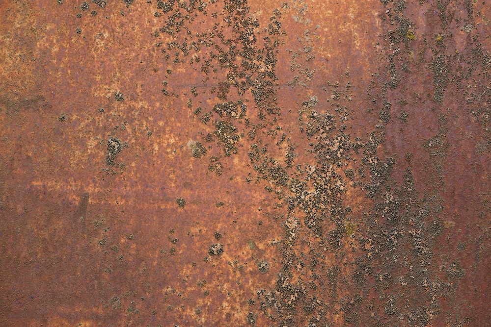 Rust 31 art print by Bilge Paksoylu for $57.95 CAD