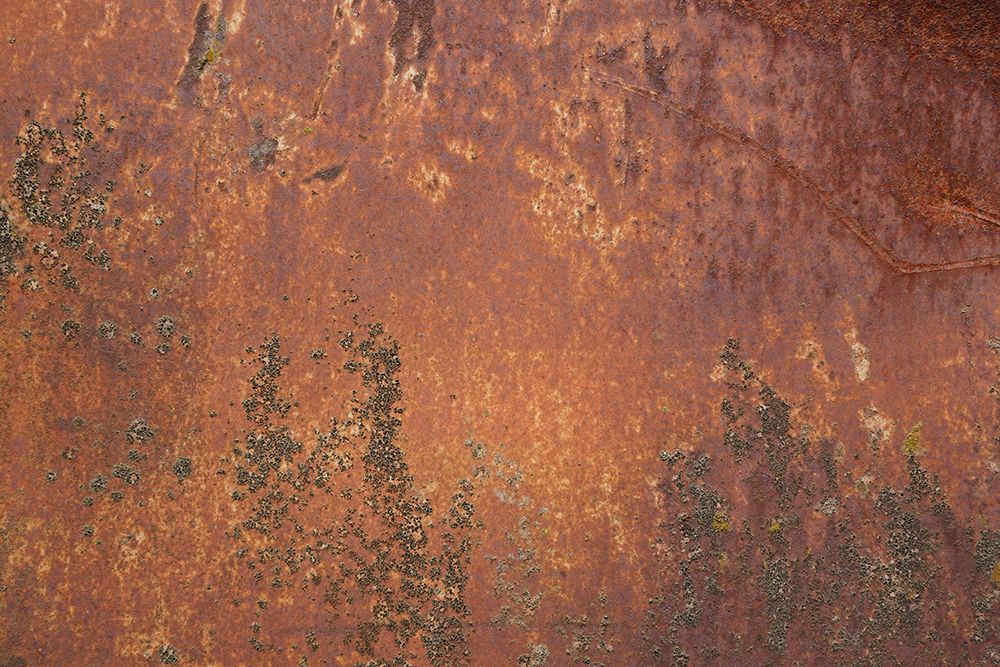 Rust 32 art print by Bilge Paksoylu for $57.95 CAD