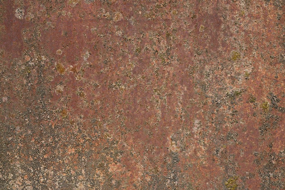 Rust 35 art print by Bilge Paksoylu for $57.95 CAD