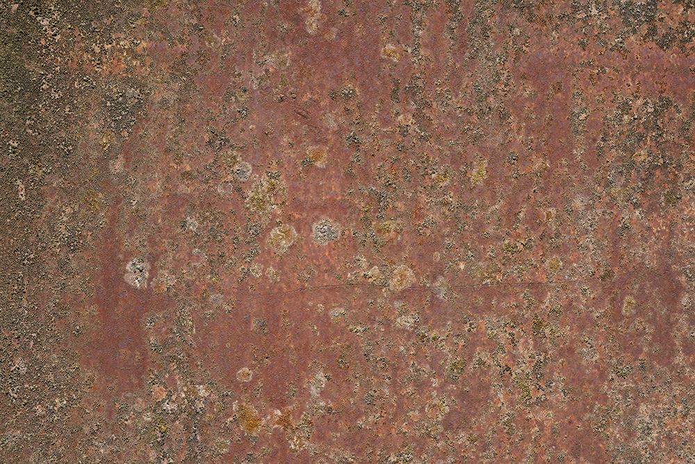 Rust 36 art print by Bilge Paksoylu for $57.95 CAD