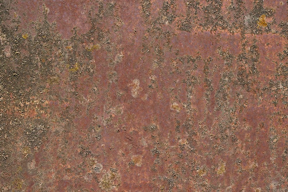 Rust 37 art print by Bilge Paksoylu for $57.95 CAD