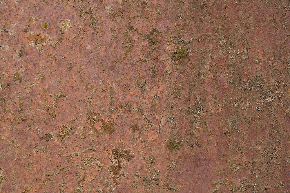 Rust 23 art print by Bilge Paksoylu for $57.95 CAD