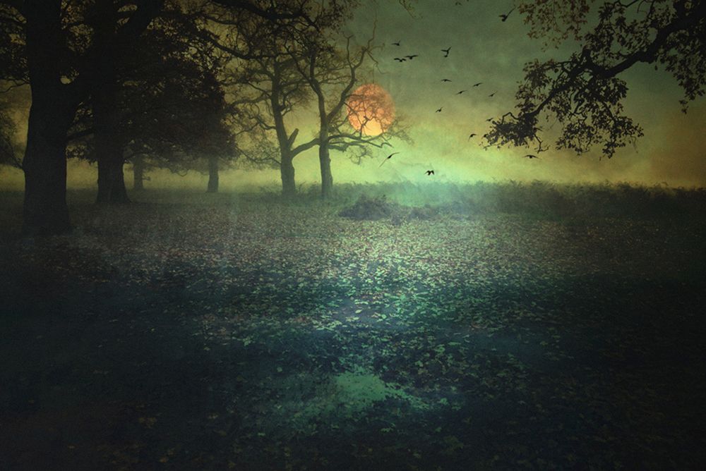 A Strange Day... art print by Robert Fabrowski for $57.95 CAD