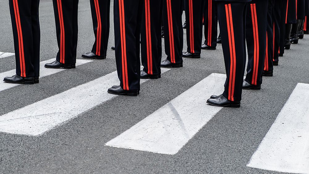 Zebra art print by Lus Joosten for $57.95 CAD