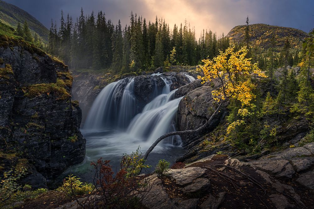 Place of fairies and trolls by Nina Pauli