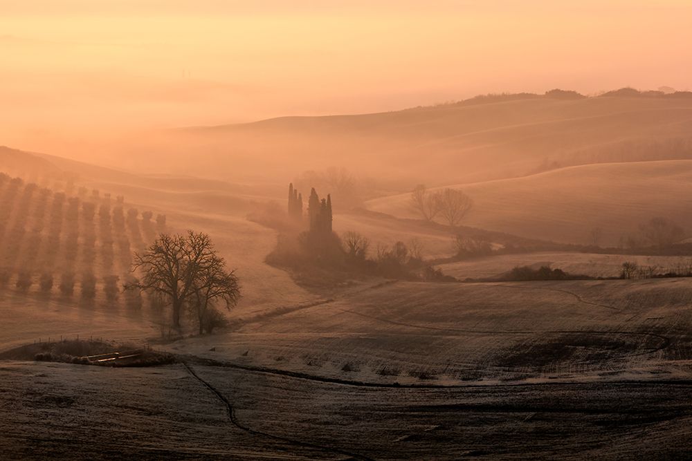 Sun Morning art print by Fabrizio Massetti for $57.95 CAD