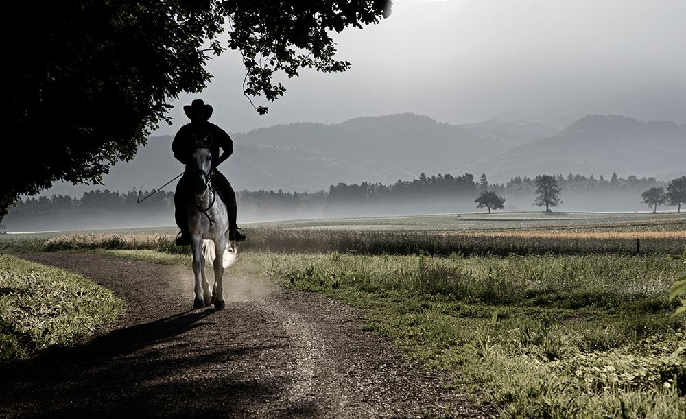 Mysterious Horseman art print by Milan Malovrh for $57.95 CAD