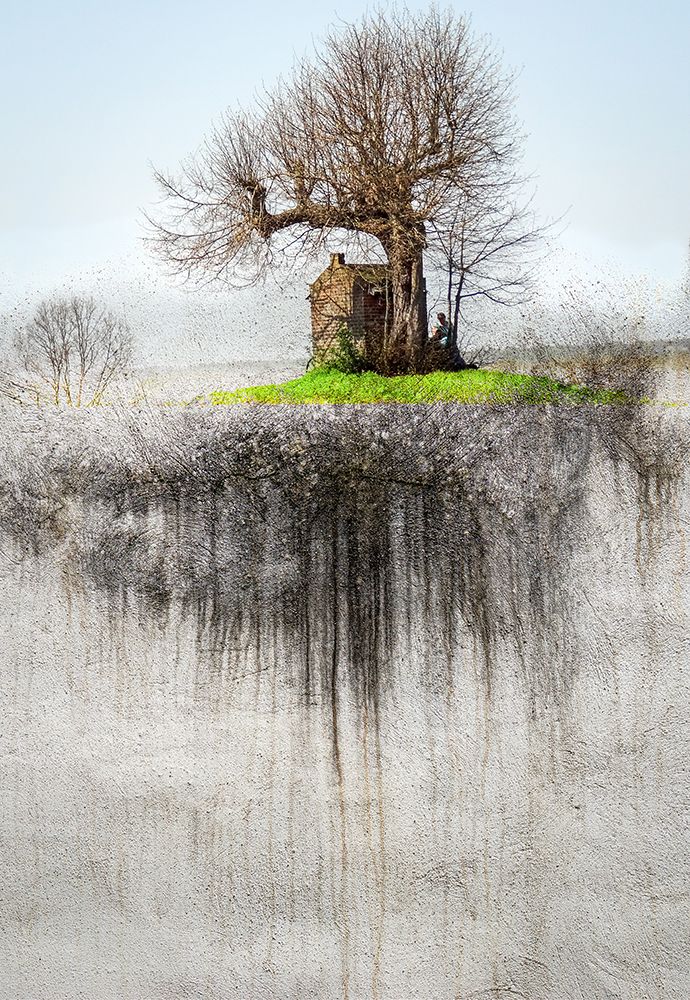 Roots art print by Daniel De Cort for $57.95 CAD