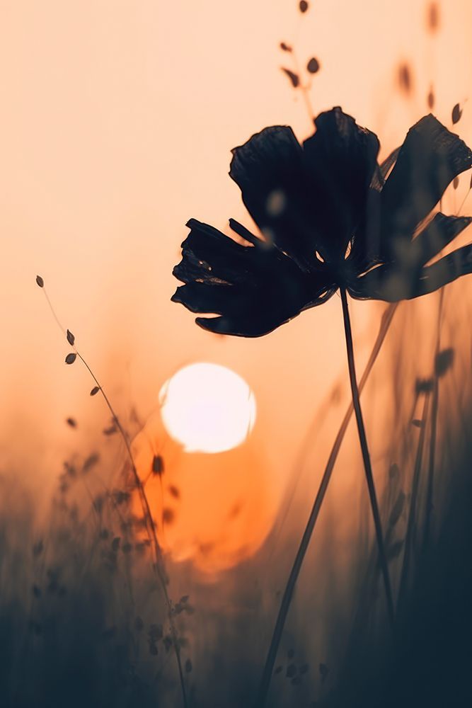 Before Sunset No1 art print by Treechild for $57.95 CAD
