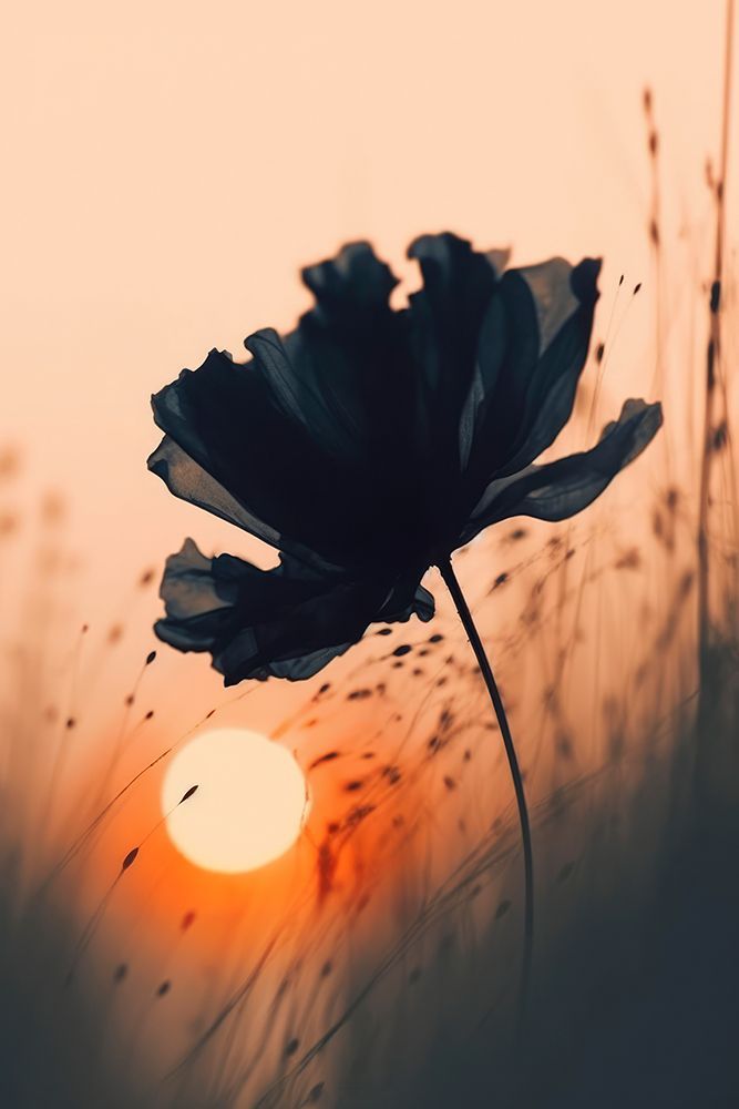 Before Sunset No 3 art print by Treechild for $57.95 CAD