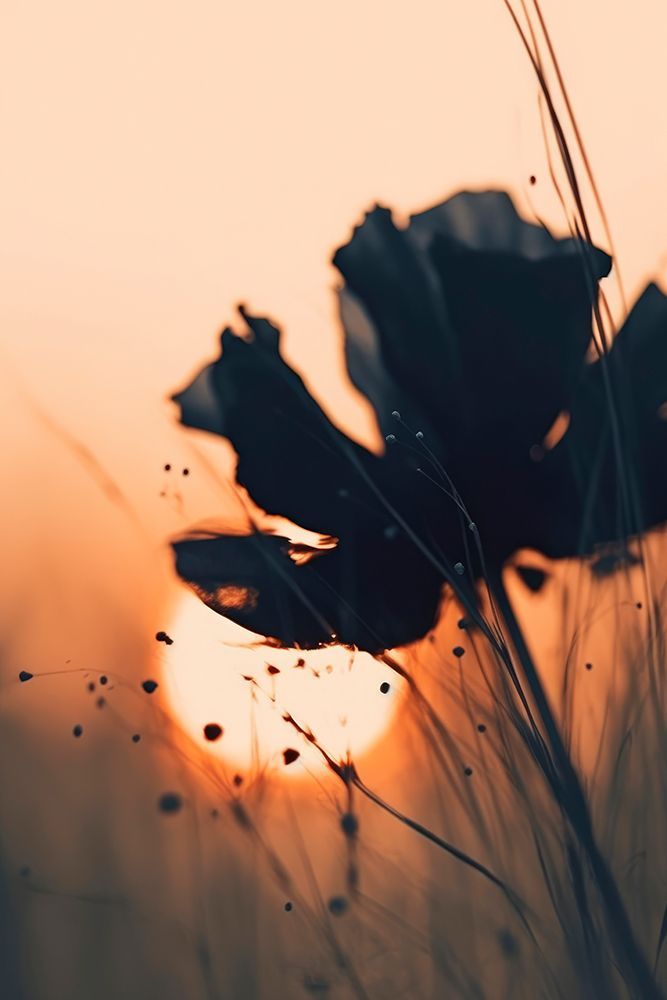 Before Sunset No 4 art print by Treechild for $57.95 CAD