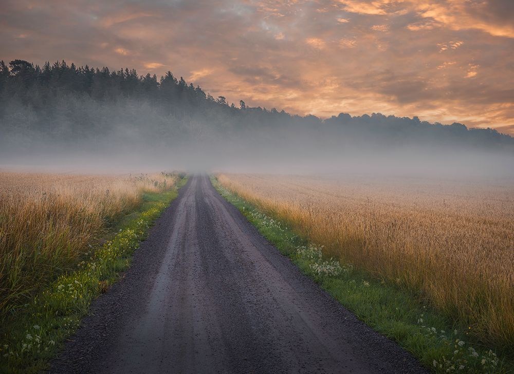 Golden Foggy Fields art print by Christian Lindsten for $57.95 CAD