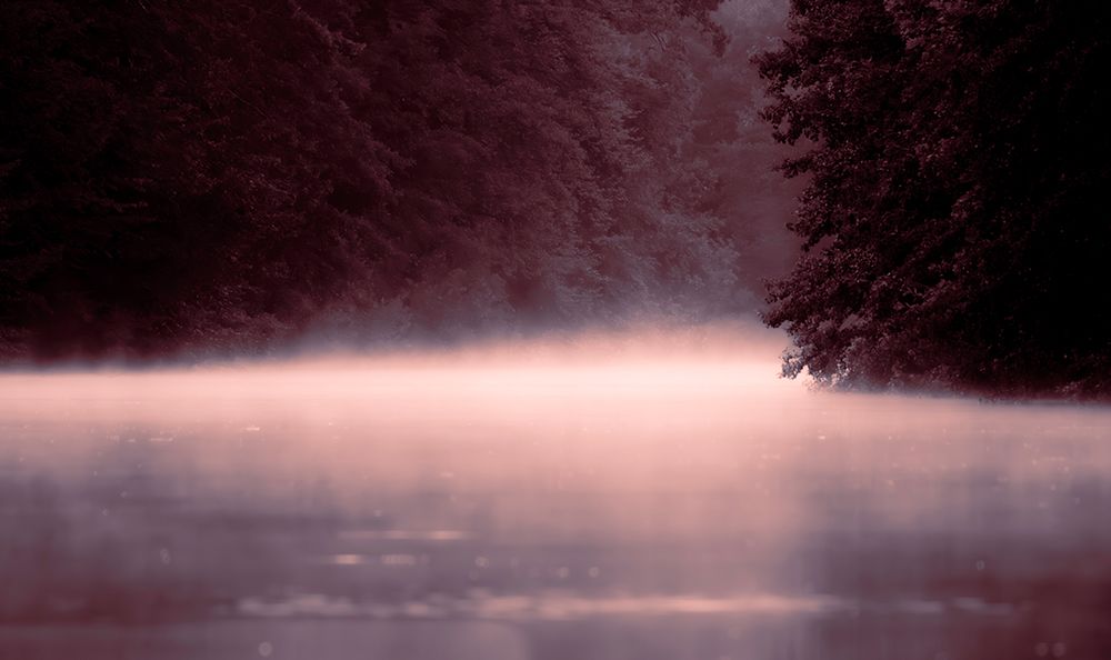 Fog art print by Foto Tinca for $57.95 CAD