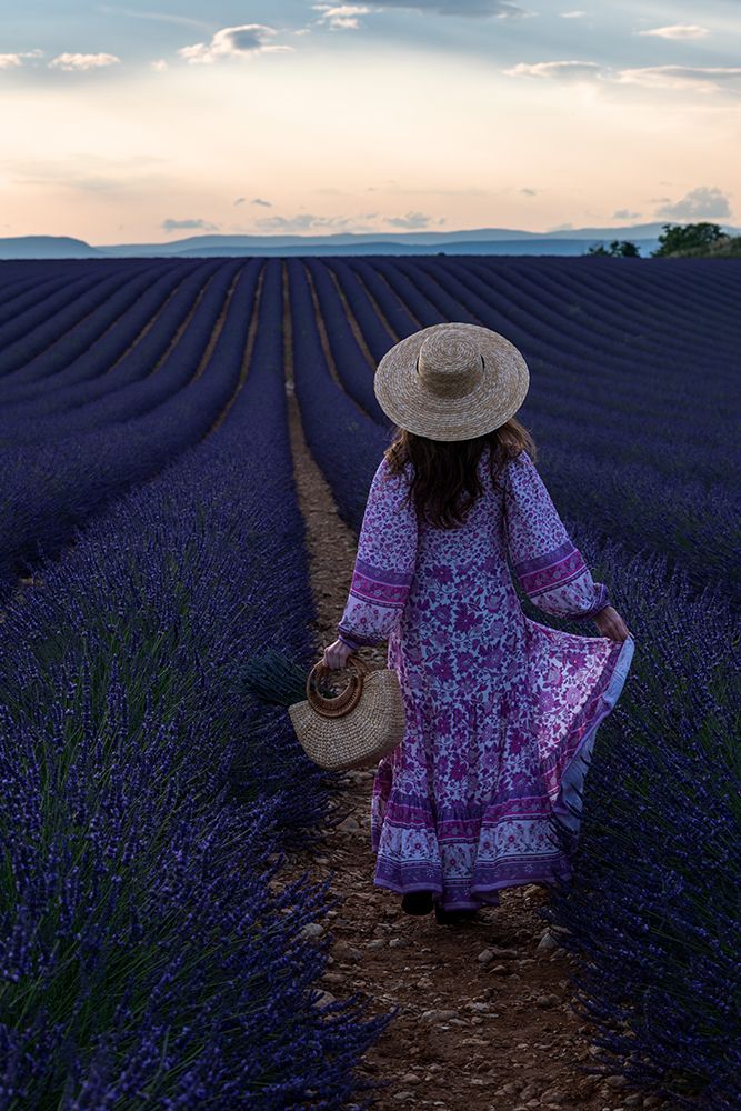 Lavender art print by Marco Galimberti for $57.95 CAD