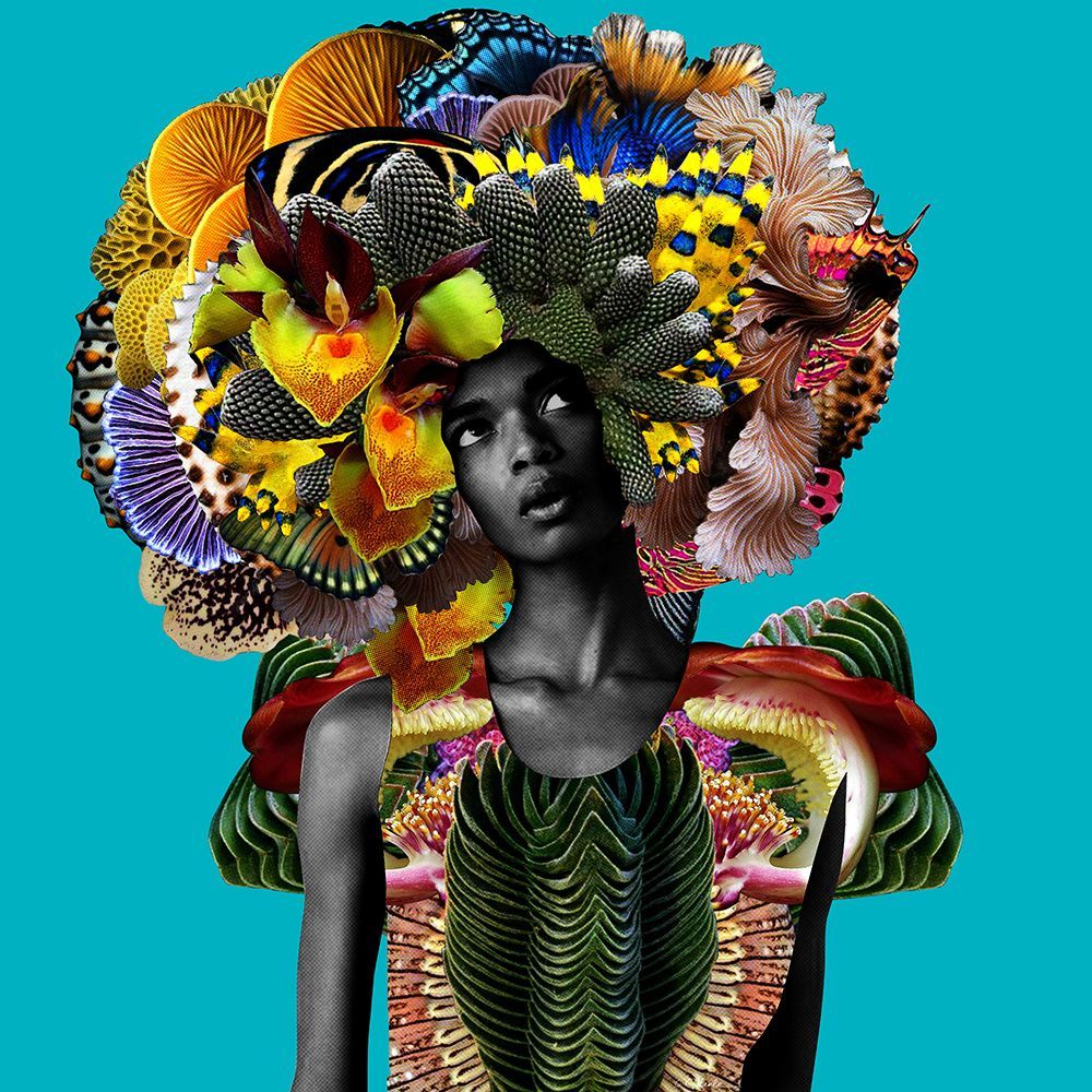 Hari art print by Lolita Lorenzo for $57.95 CAD