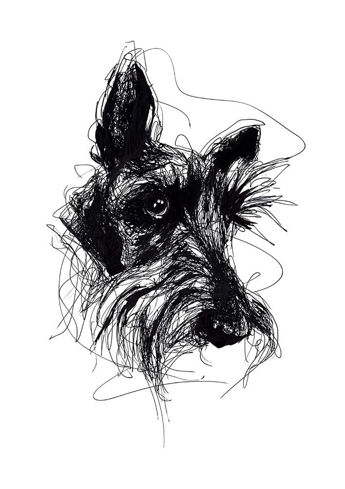 Minky art print by Ann Storking for $57.95 CAD