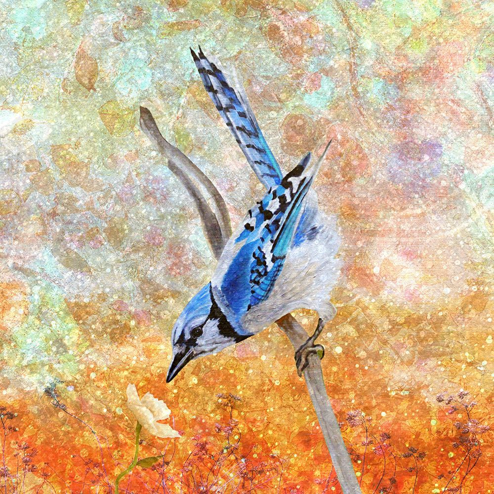 Beneath the Stardust art print by Angeles M. Pomata for $57.95 CAD