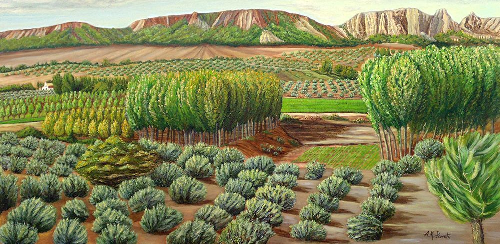 Bright Morning In Alcudia art print by Angeles M. Pomata for $57.95 CAD