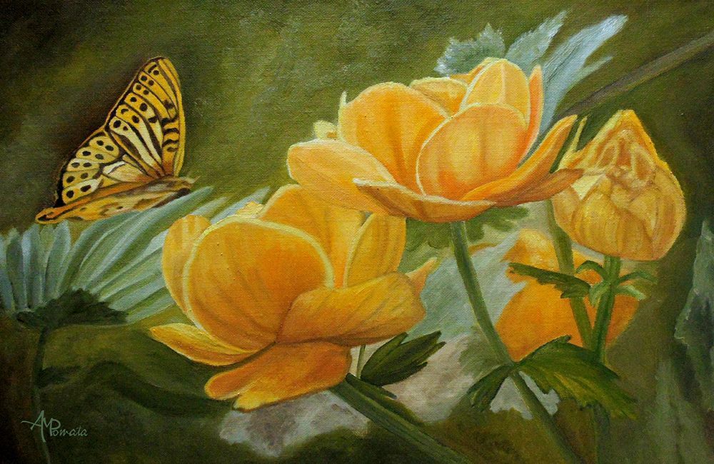 Butterfly Among Yellow Flowers art print by Angeles M. Pomata for $57.95 CAD